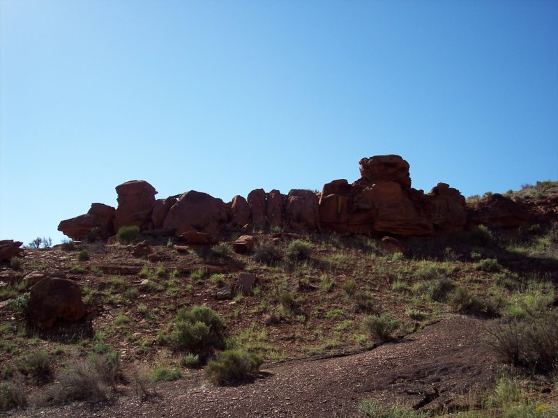 Photograph