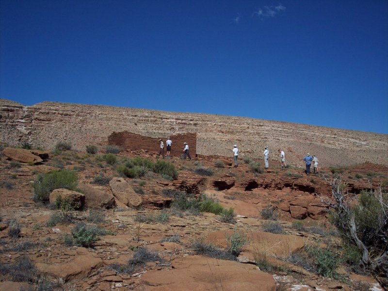 Photograph