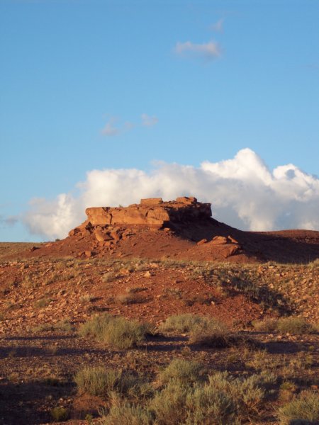 Photograph